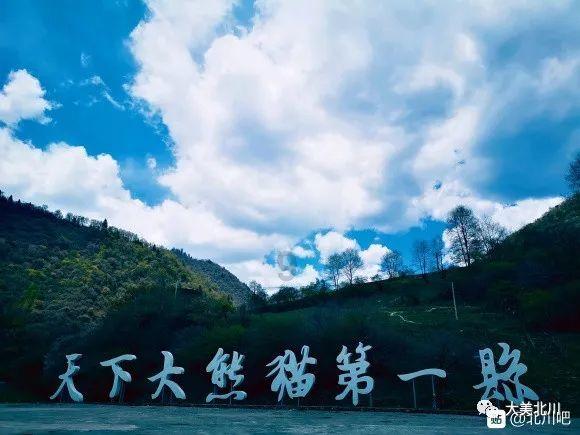 学生物的可以考数学的教资吗